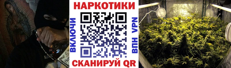 Сколько стоит Новоузенск ГАШИШ  КОКАИН  omg маркетплейс  Бошки Шишки  Мефедрон  СОЛЬ 