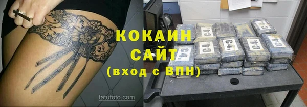 прущие грибы Балахна