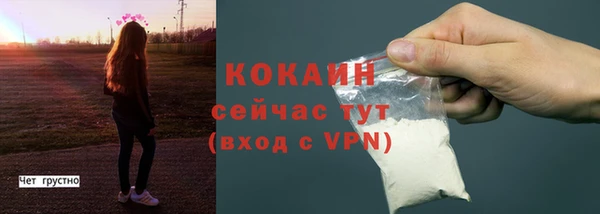 прущие грибы Балахна