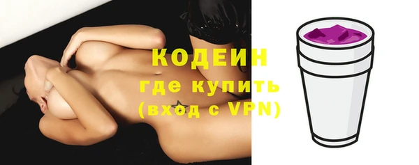 прущие грибы Балахна