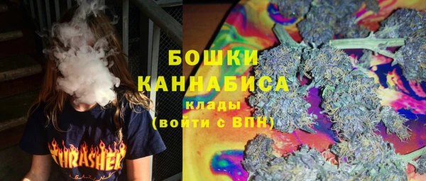 прущие грибы Балахна