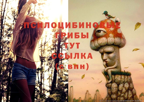 марки lsd Балабаново