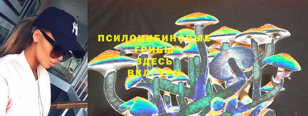 прущие грибы Балахна